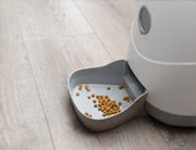 Smart Pet Feeder