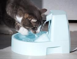 Smart Water Bowl