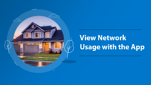 View Network Usage with the App